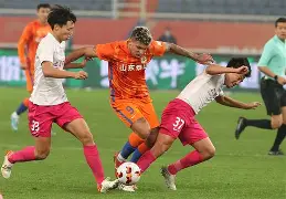 山东泰山今夜队长鼓劲今晨浙江队备战德甲，网友：哈兰德在DWG比赛中精彩发挥的简单介绍